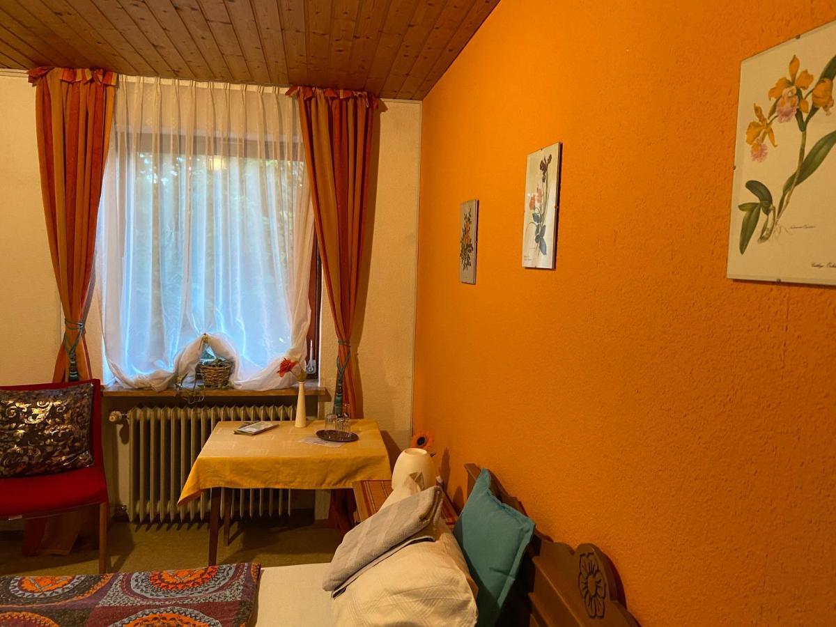 Pension Waldblick Spiegelau Exteriér fotografie