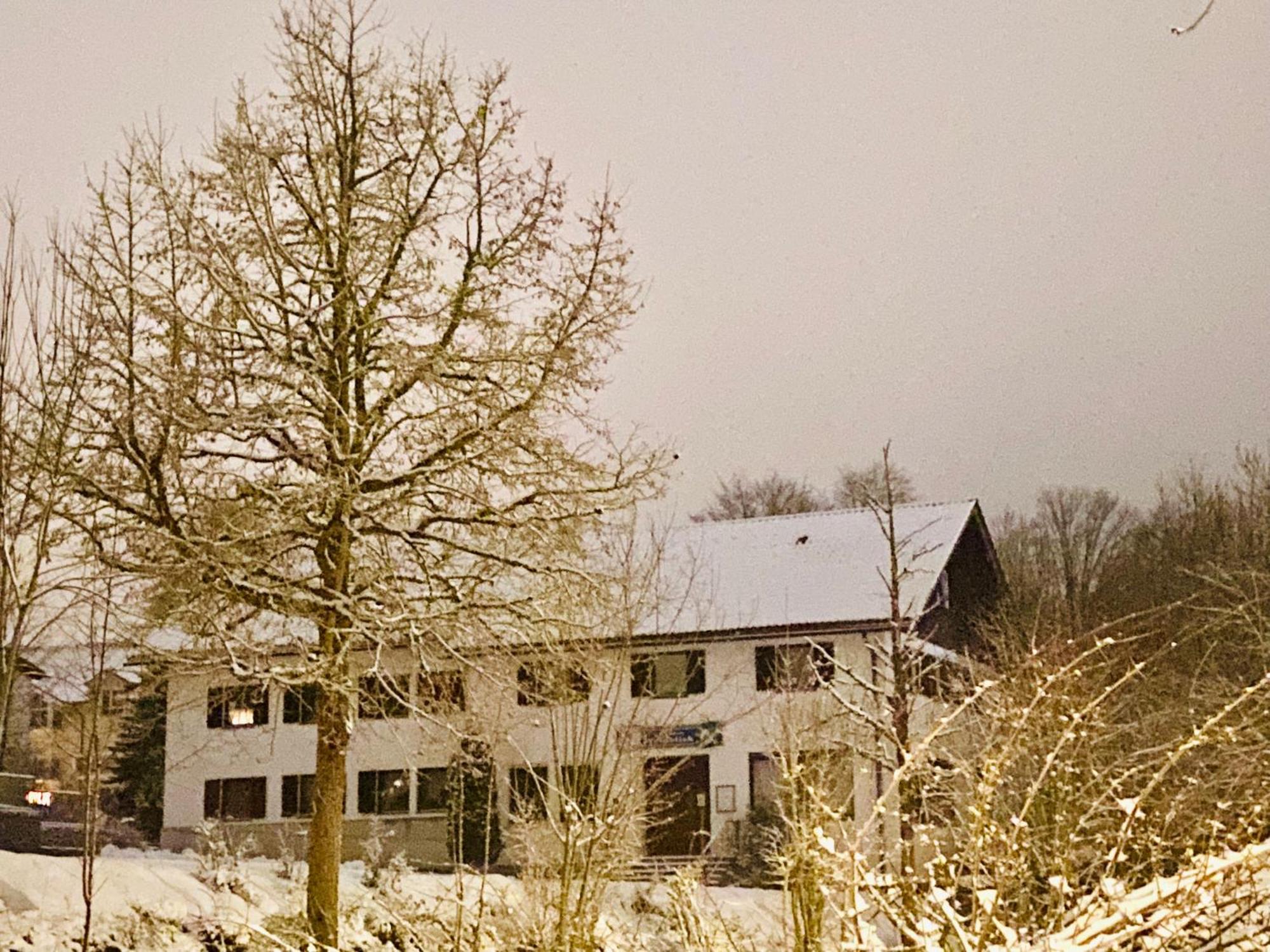 Pension Waldblick Spiegelau Exteriér fotografie