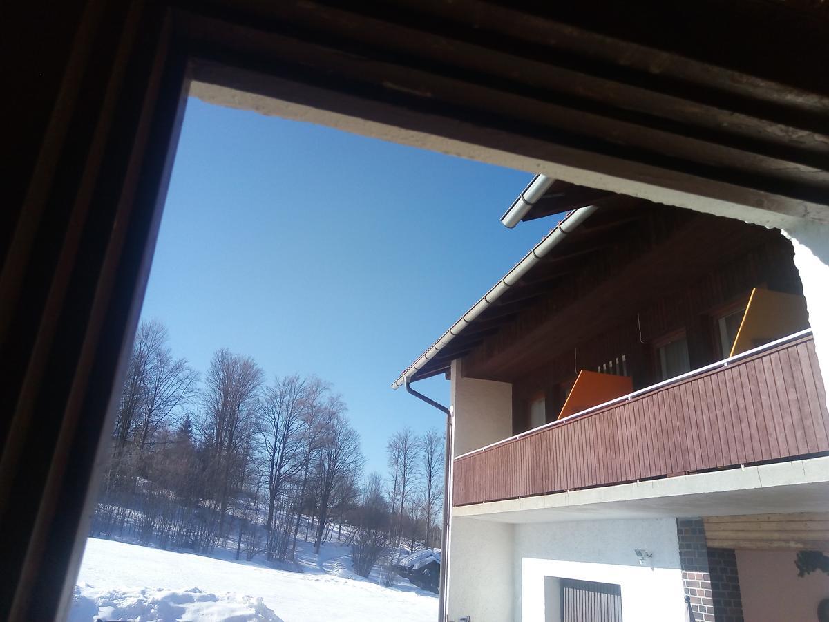 Pension Waldblick Spiegelau Exteriér fotografie