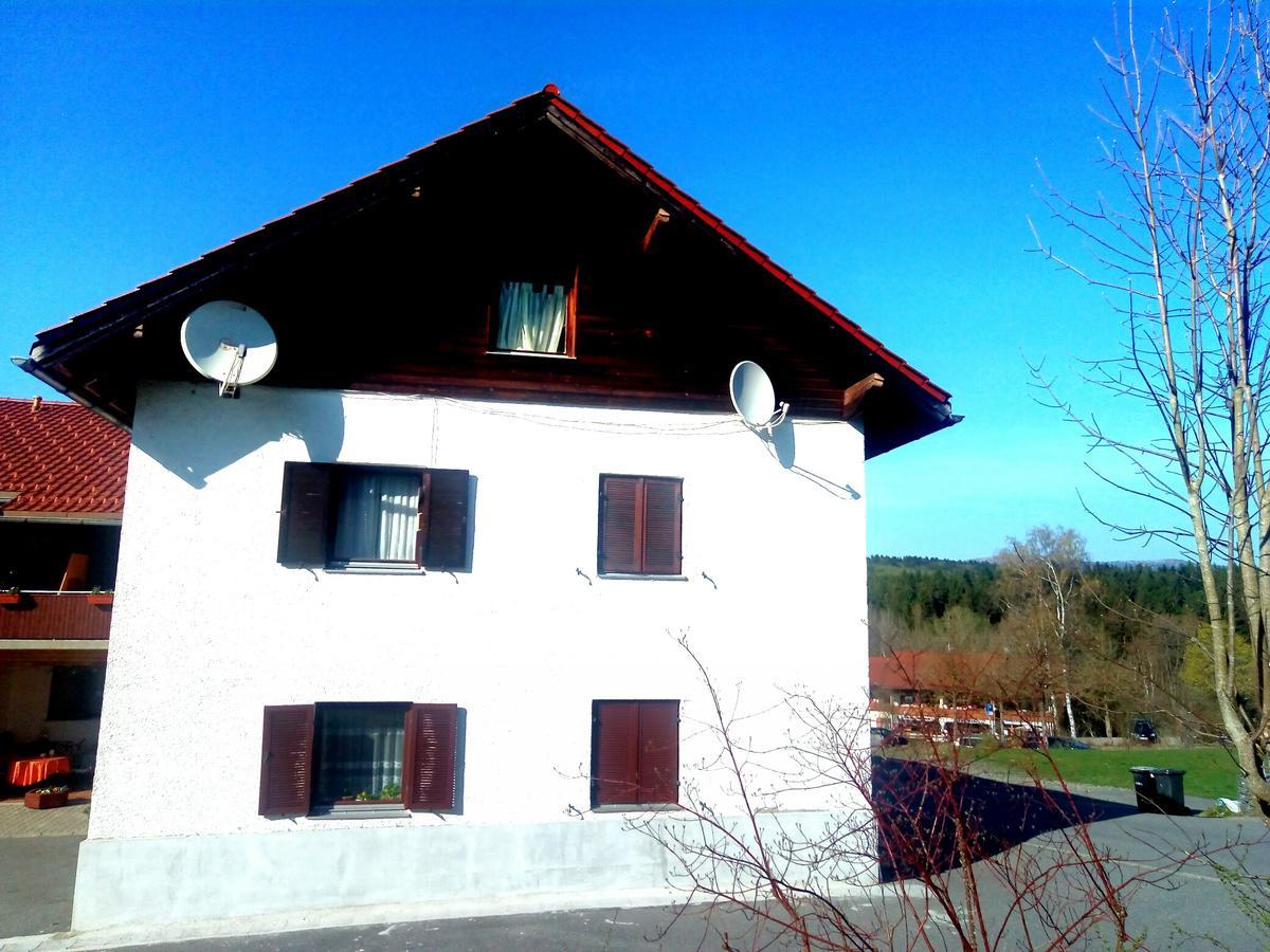 Pension Waldblick Spiegelau Exteriér fotografie