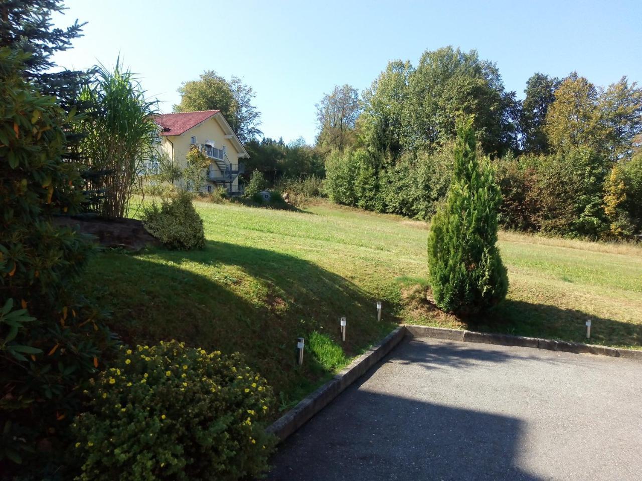 Pension Waldblick Spiegelau Exteriér fotografie